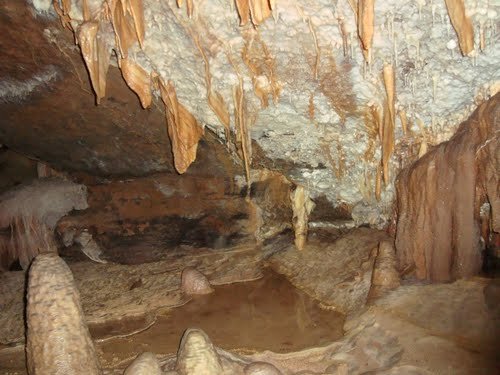 Decoration in Fairy Cave, one of the three tourist caves. It really does have world class decoration, friendly and knowledgeable guides, and a generally unforgettable experience. Picture courtesy of Parks Victoria.