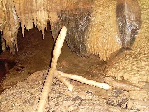 The bizarre 'Elk Antler' formation, which has NO explanation and has baffled even the most knowledgeable speleo-scientists! Found in the Elk River stream passage. Photo by Doug Henry