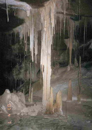 Photo of some typical amazing Tassie decoration (straws and stals). This one is in Exit Cave, Ida Bay, which is the second longest cave in Australia. Simply amazing. Photo by Doug Henry